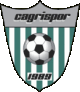 Cagri Spor Nürnberg